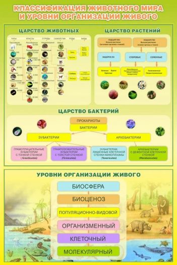 Стенд для кабинета биологии "Классификация животного мира"