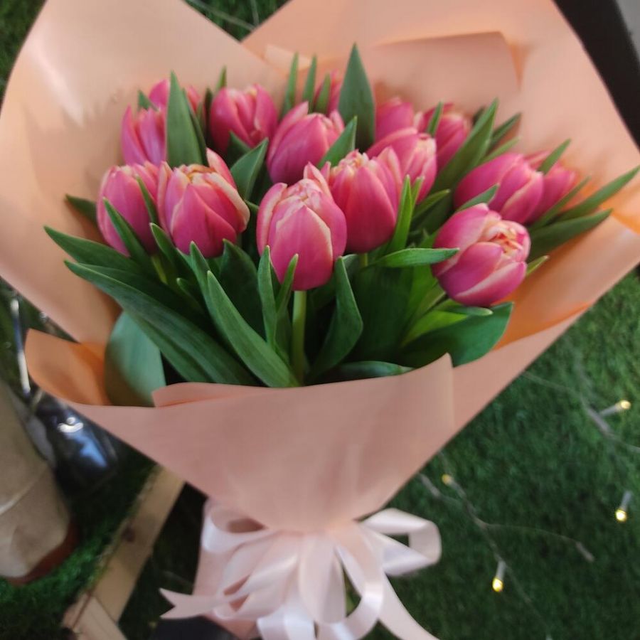 Тюльпаны  пионовидные Коламбус