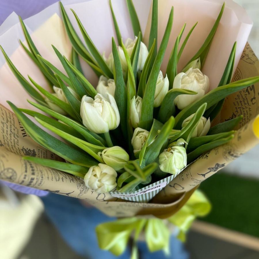 Белые пионовидные тюльпаны