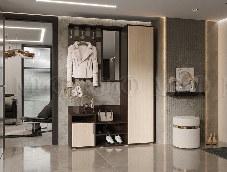 Прихожая Визит