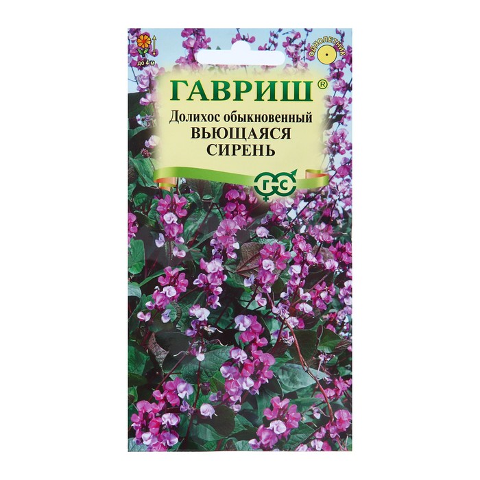 Семена цветов Долихос (Гиацинтовые бобы) "Вьющаяся сирень", ц/п,  4 шт