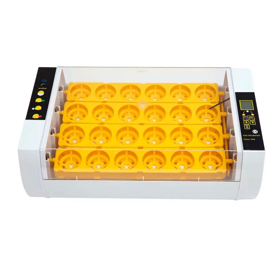 Инкубатор HHD на 24 яйца с овоскопом, автоматический переворот (УЦЕНКА)