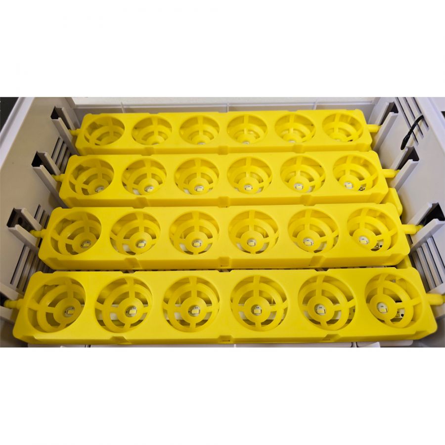 Инкубатор HHD на 24 яйца с овоскопом, автоматический переворот (УЦЕНКА)