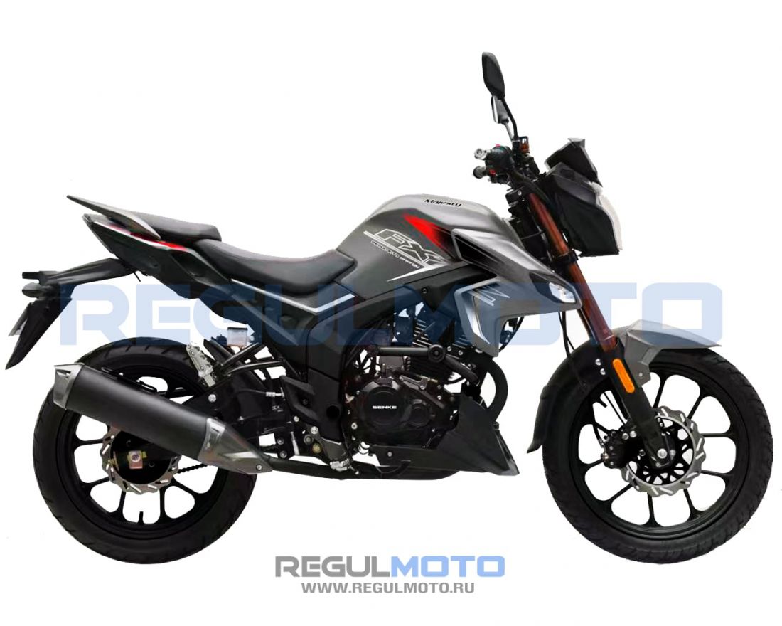 Мотоцикл Regulmoto SK200-9