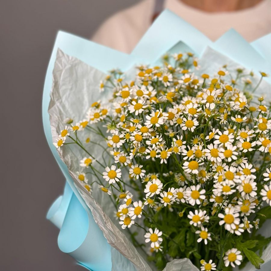 Букет Ромашек