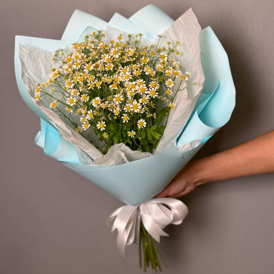 Букет Ромашек