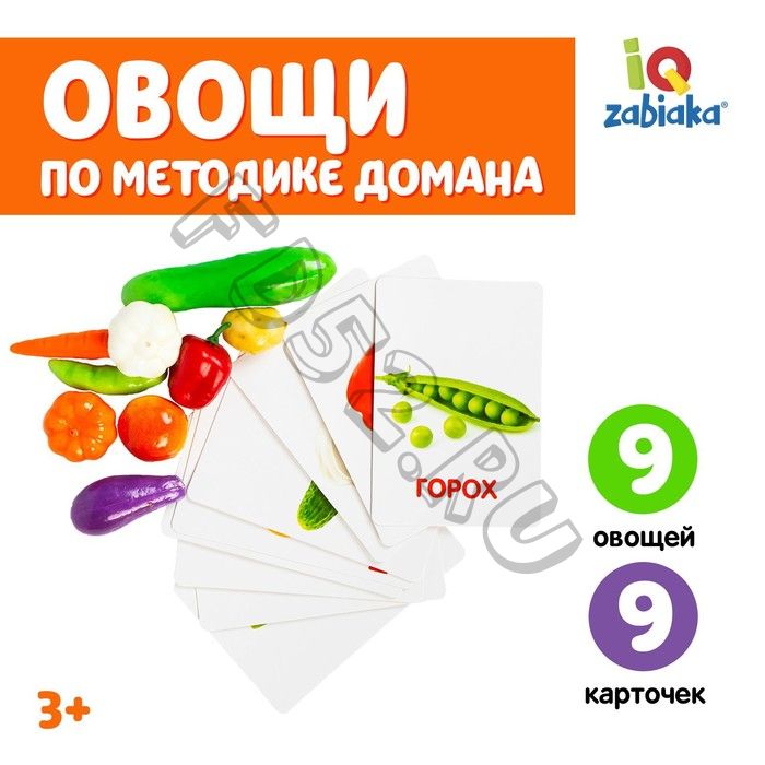 Обучающий набор по методике Г. Домана «Овощи»: 9 карточек + 9 овощей, счётный материал