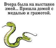 ЗМЕЙКА С НАДПИСЯМИ - Термотрансфер 15х17см (1229 Евгения)