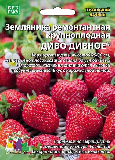 Земляника Диво дивное