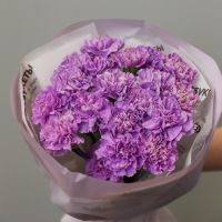 Монобукет сиреневых диантусов