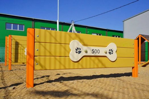 Барьер 500 ДС-1.10 для дрессировки собак