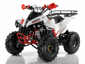 Подростковый квадроцикл Motax ATV Raptor Super LUX 125 cc (125 кубов)