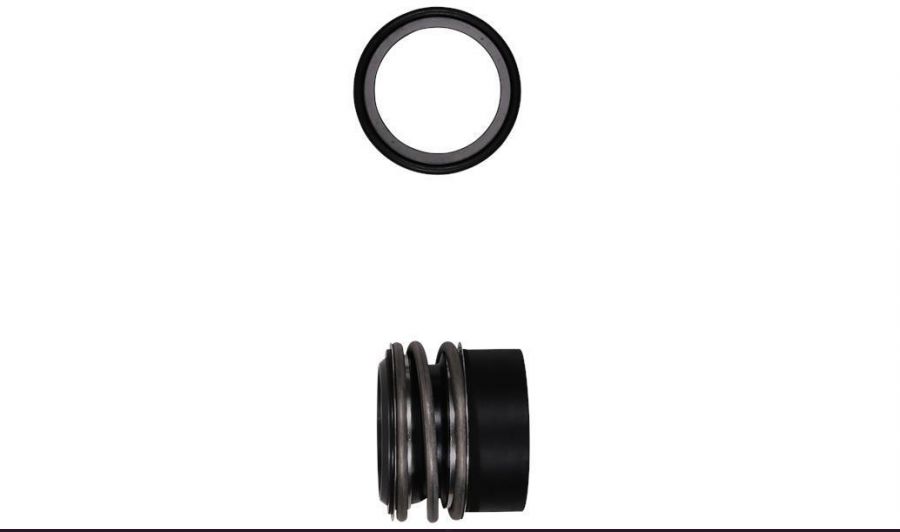 Торцевое уплотнение MG1/100 -G60 AQ1EGG  арт. 8045334