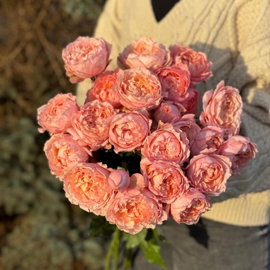 Букет из розовых кустовых пионовидных роз