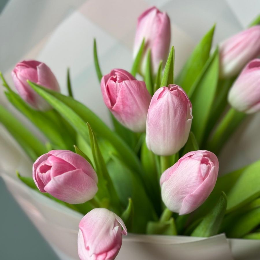 Нежные розовые тюльпаны