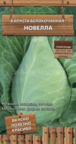 Капуста белокочанная Новелла 0,1 г (ПОИСК)