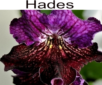 Hades