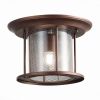 Светильник Уличный Потолочный ST-Luce SL080.402.01 Темный Кофе/Прозрачный, Темный Кофе E27 1*60W / СТ Люче.