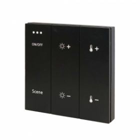 Панель Управления Трековой Системой SKYLINE 220 ST-Luce ST015.400.99 Черный / СТ Люче.