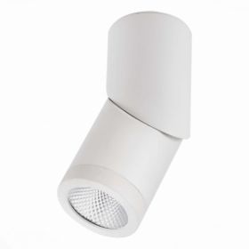 Светильник Потолочный ST-Luce ST650.532.10 Белый LED 1*10W 3000K 800Lm Ra>90 38° IP44 D60xH175 165-265V / СТ Люче.