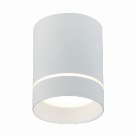 Светильник Потолочный ST-Luce ST115.542.12 Белый LED 1*12W 4000K 840Lm Ra>90 120° IP20 D79xH100 170-240V / СТ Люче.