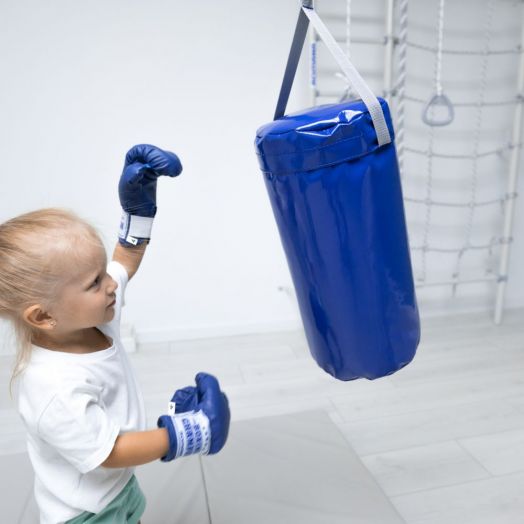 Мешок боксерский (1кг) (Подвес идет в комплекте)