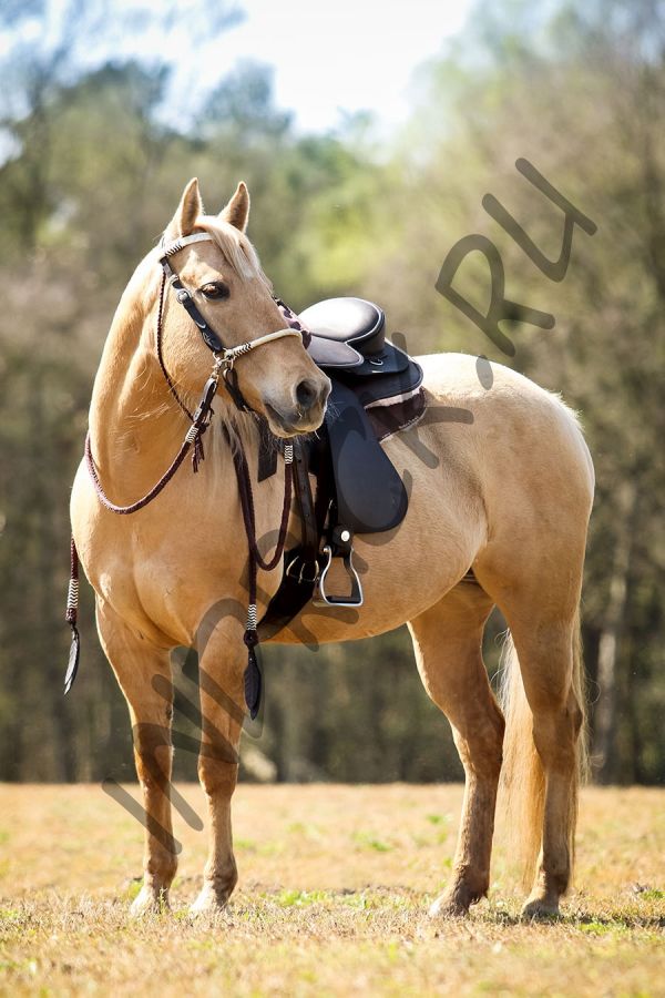 Безленчиковое седло Barefoot Arizona