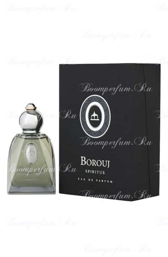 Borouj Spiritus by Dumont Paris