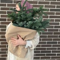 Нобилис в крафт бумаге