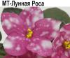 МТ-Лунная Роса (Тотиева)  НОВИНКА 23г