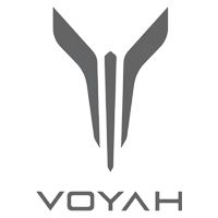 Voyah (краска в баллонах)