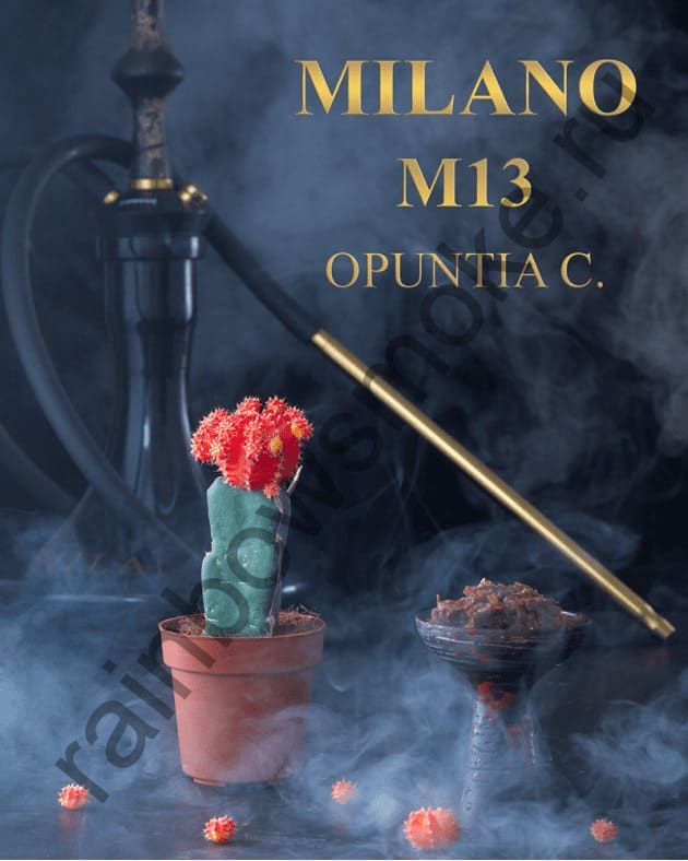 Milano Gold 100 гр - M13 Opuntia C. (Опунция)