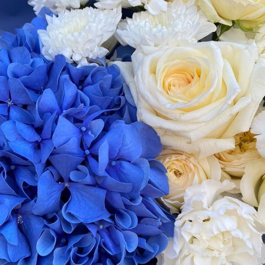 Дуо букет из гортензии роз и диантусов