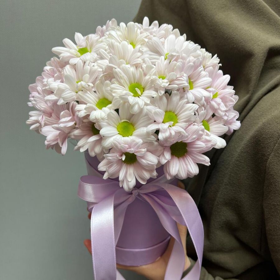 Хризантема в коробке