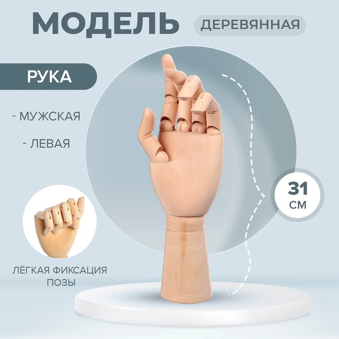 Модель деревянная рука, мужская, левая, 31 см