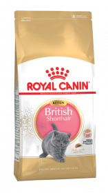Роял канин Киттен Британская короткошерстная (Kitten British Shorthair)