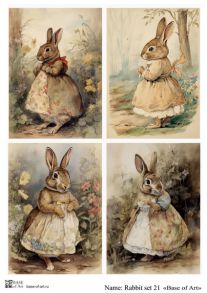 Rabbit set 21