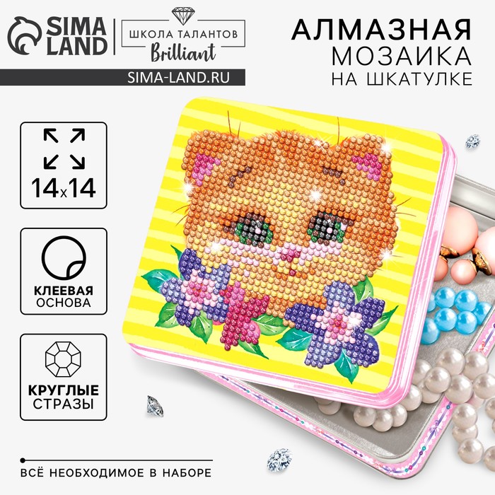 Алмазная мозаика на шкатулке с частичным заполнением «Котик», 14 х 14 см