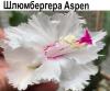 Шлюмбергера Aspen  НОВИНКА