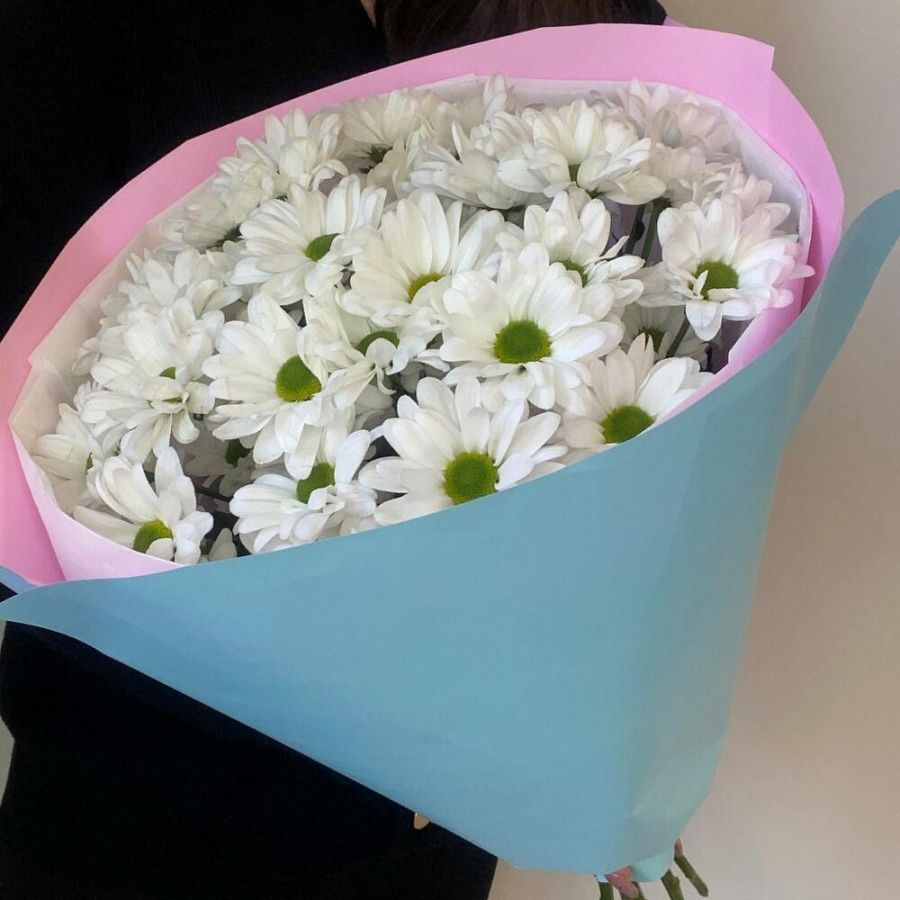 Букет кустовой ромашковой хризантемы 