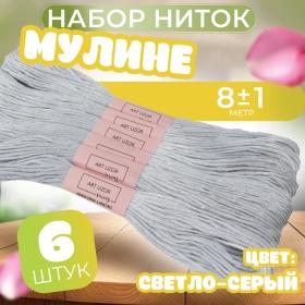 Набор ниток мулине №3742, 8 ± 1 м, 6 шт, цвет светло-серый