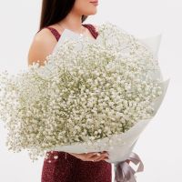 Букет из белой гипсофилы